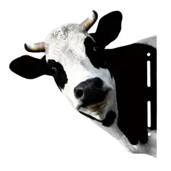 Cows Head Shape Iron Silhouettes Lawn Decor Funny Peeking Cattle Statue Creative Outdoor Metal Garden Decoration Modern Artworks