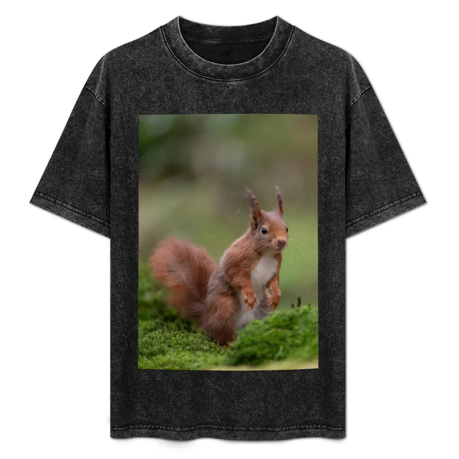 

Red Squirrel T-Shirt t shirt man cotton man t shirt heavy cotton t shirts for man graphic vintage tshirt T-Shirt