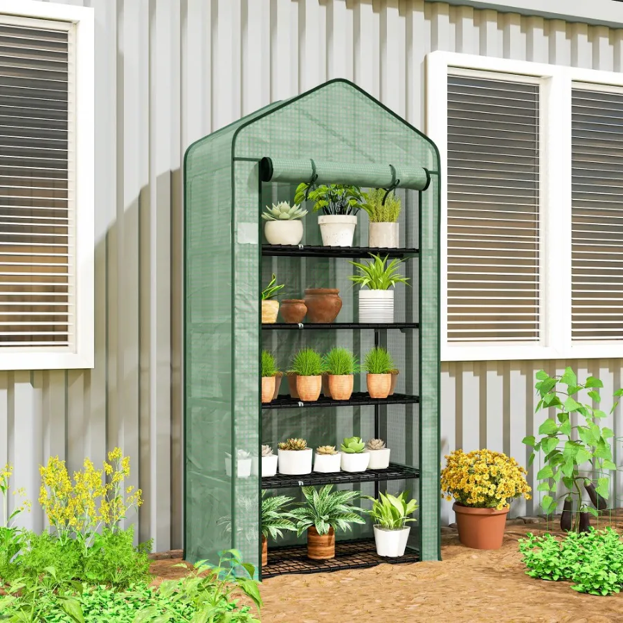 

House Greenhouse, 2026 year