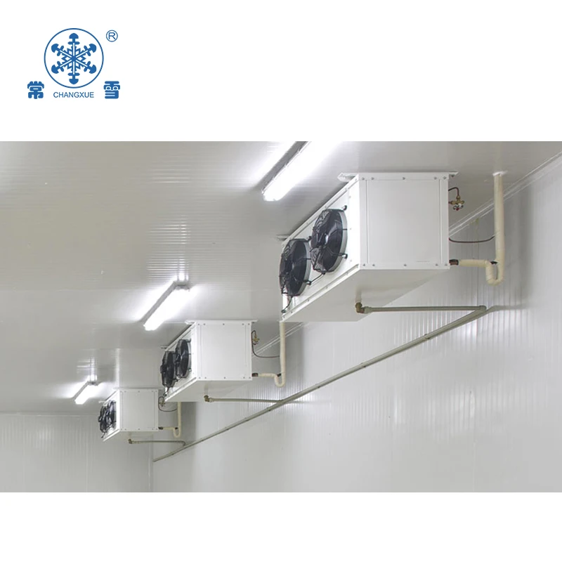 Camminata nella stanza del refrigeratore per stoccaggio del congelatore nella stanza fredda in vendita