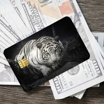 10 best sales Beyaz kaplan - №2