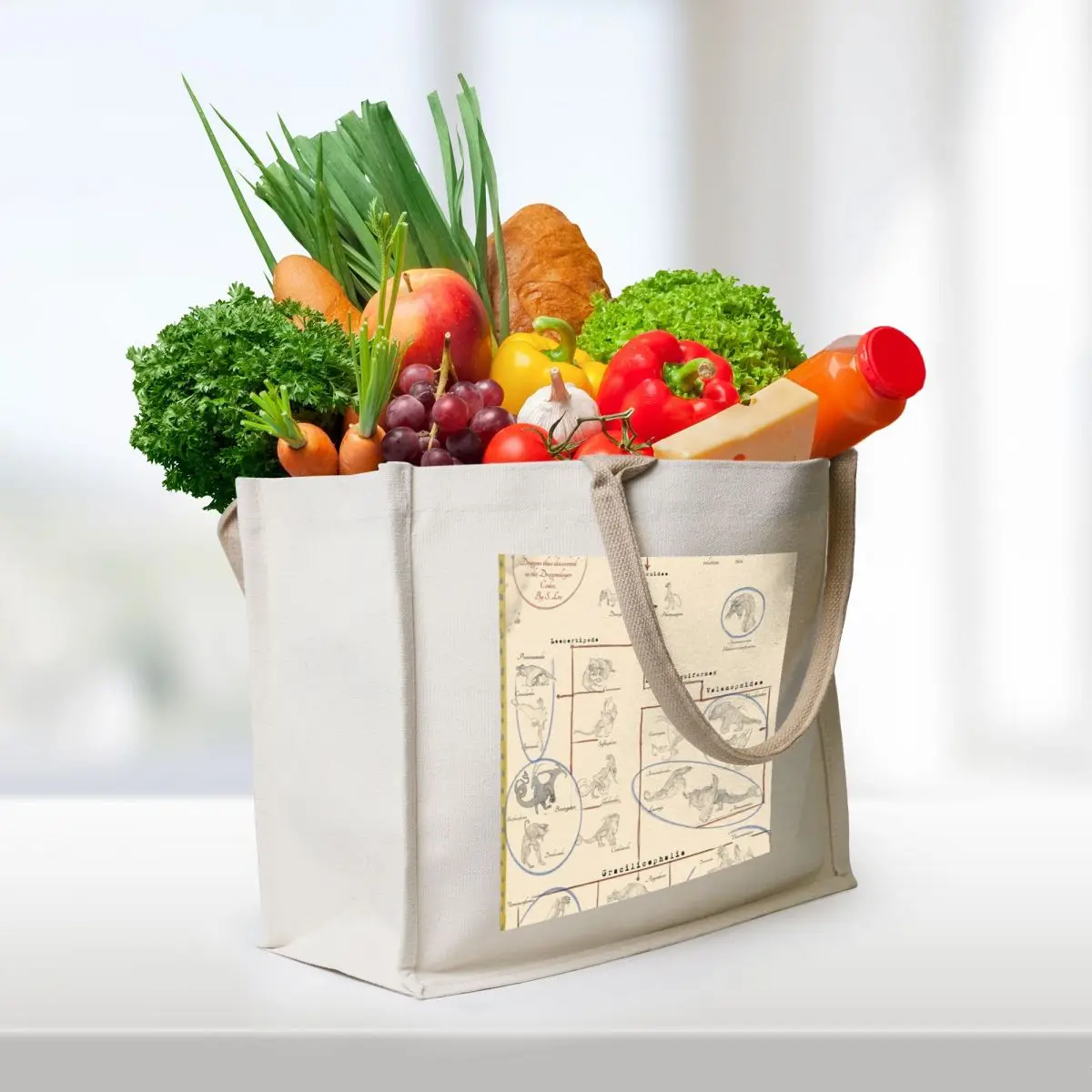 Dragon Species Cladogram Tote Bag tote bag women Fabric bag Shopper Reusable bags