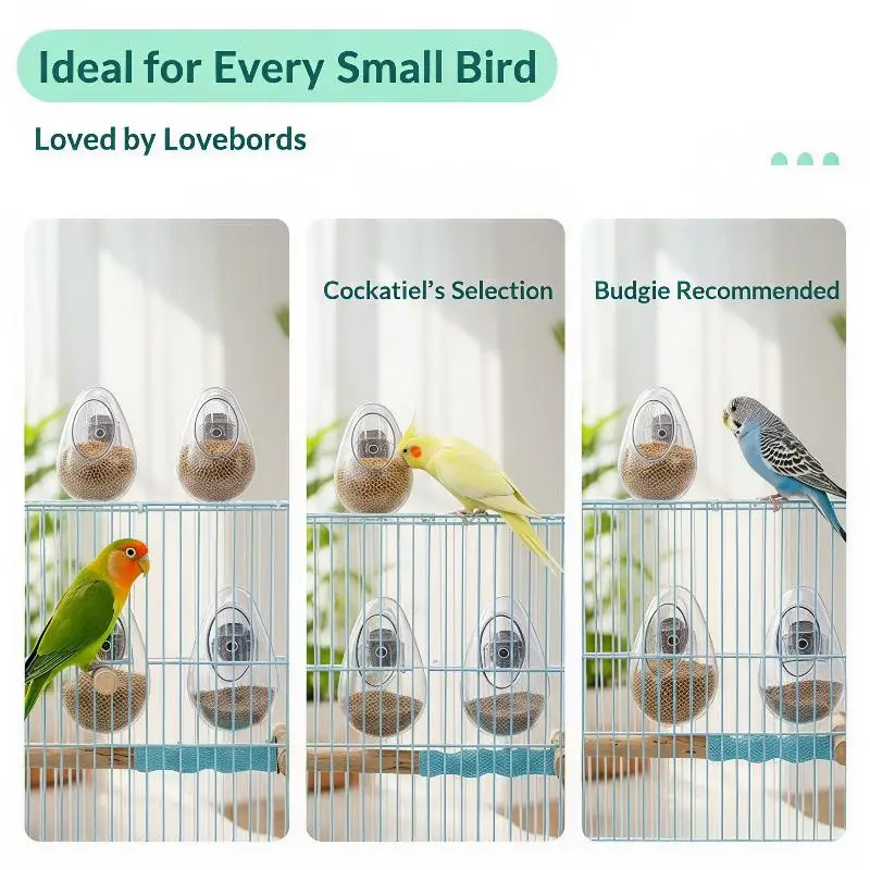 Detachable Anti Splashing Parrot Feeder 1Pcs Wall Hanging Transparent Plastic for Pet Bird Cage Parrot Supplies