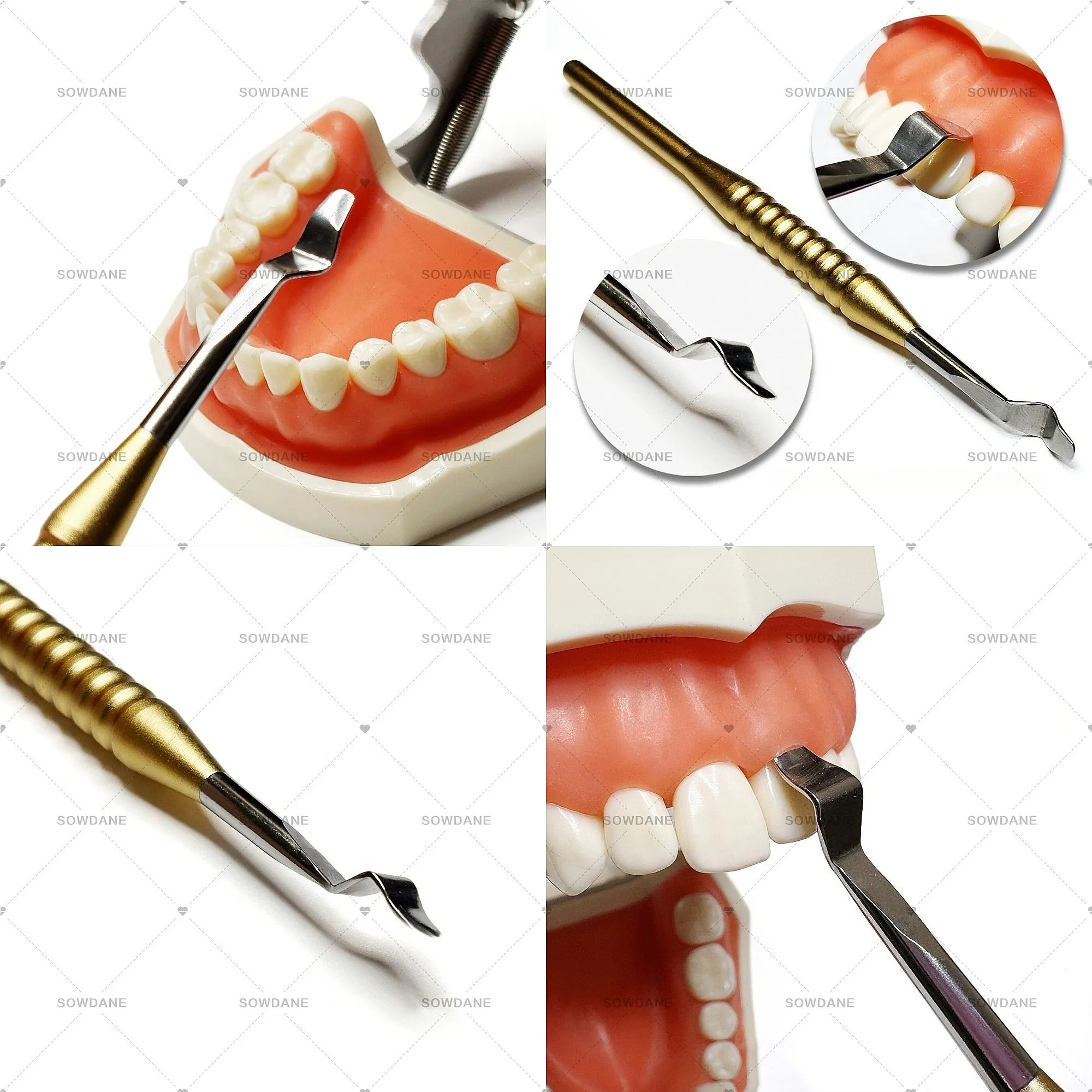 Lab Stainless Steel Socket Shield Retractor Gingival Retraction Tool Gum Separator Periosteal Elevator