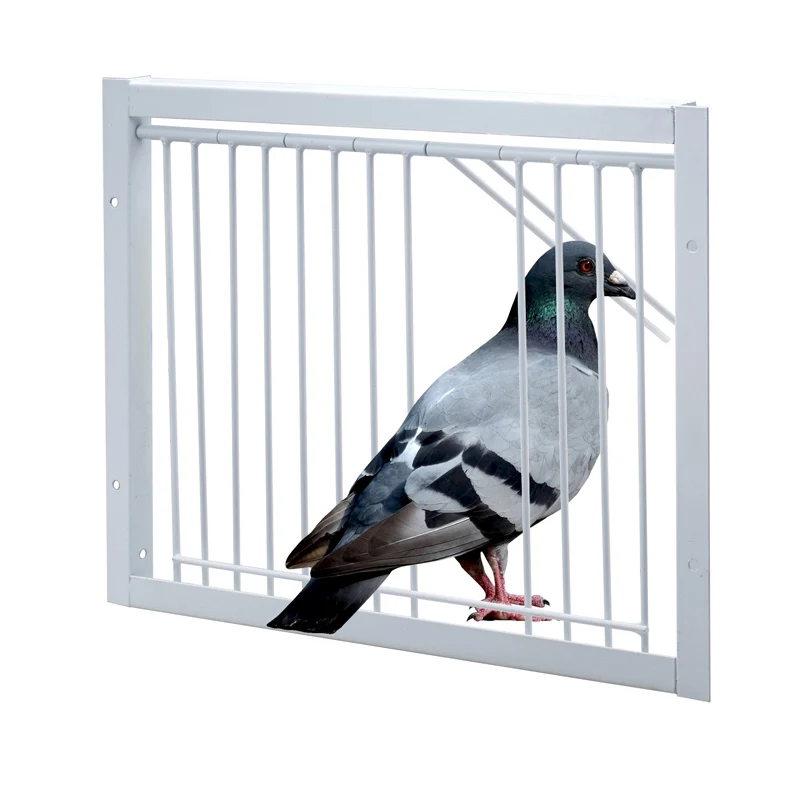 30*26cm Pigeon Door Metal Wire Bars Frame Single Entrance Trapping Doors Cage Birds Catch Removable Bar Bird Cages and Nests