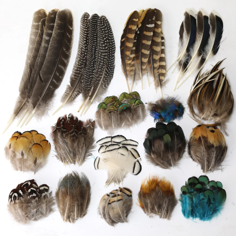 Wholesale Natural Pheasant Peacock Feathers Small Eagle Chicken Plumes Ostrich Decor DIY Handicraft Accessories Jewelry Creation