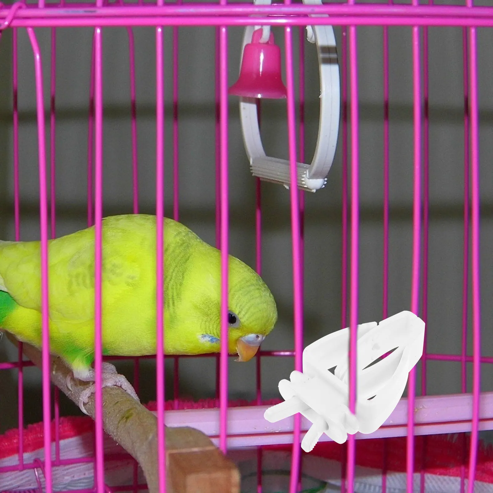 

6 pcs Vegetable Holder For Bird Apparatus Pet Hanging Feeder Parrot Feeding Tool Birdcage Feeding Tool Skewer Fruit Holder