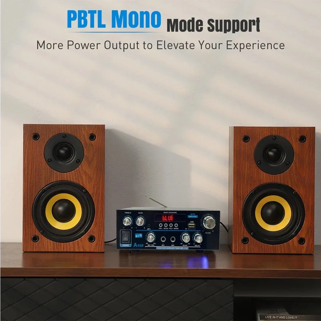 AK55 Bluetooth Amplifier with Microphone Support – Adjustable Bass, Treble, Reverb & Delay – Bluetooth, USB, SD & FM Radio