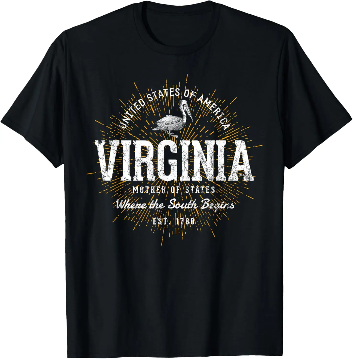 

Vintage State of Virginia Retro T-Shirt