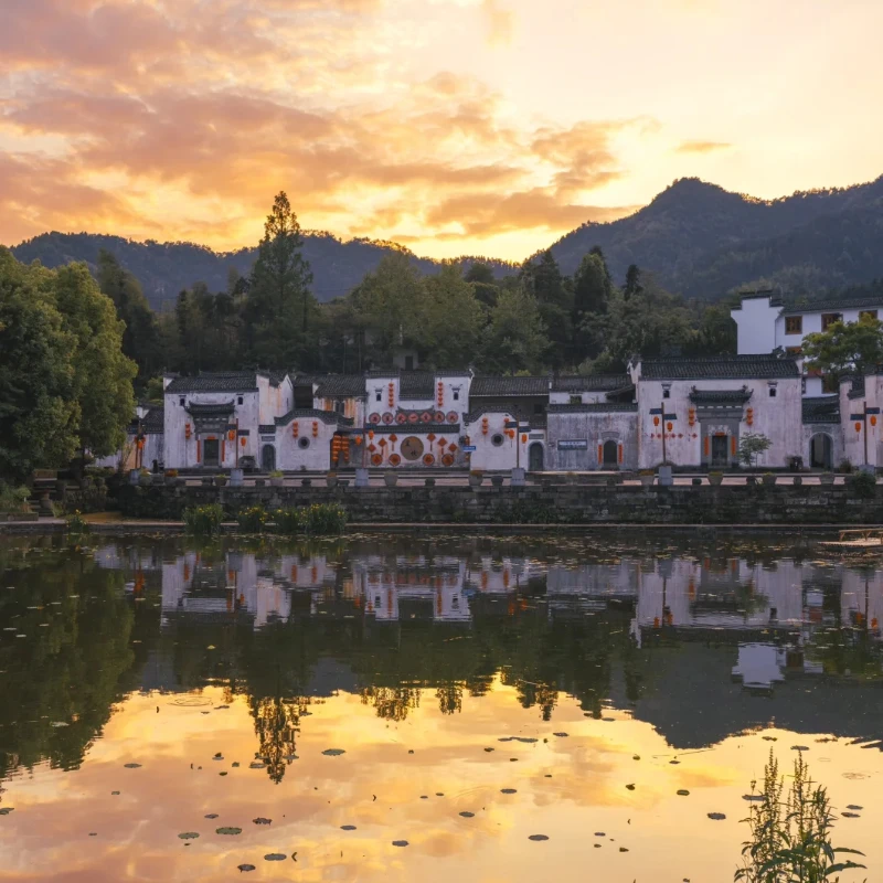 ชุดกล้อง CADDX Walksnail Avatar HD Pro + GM1/GM2/GM3 FPV Gimbal - 1080P/120fps 22ms 4km 160 ° อุปกรณ์เสริม FOV Head Tracking Gyroflow สำหรับ RC FPV