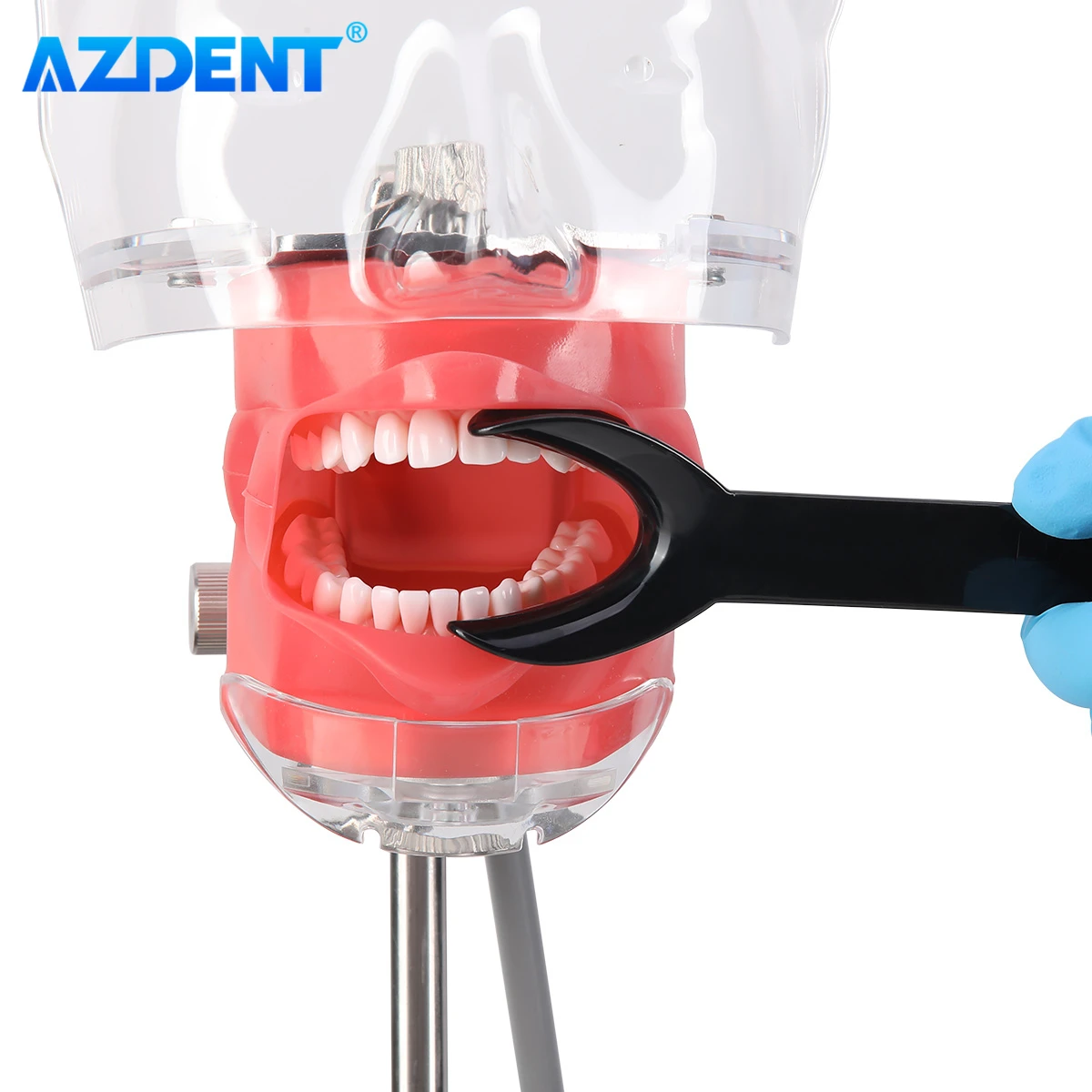 4PCS Dental T-Shape Retractor Cheek Lip Retractors AZDENT Orthodontic Teeth Mouth Opener Double Head Small Large Dentistry Tool