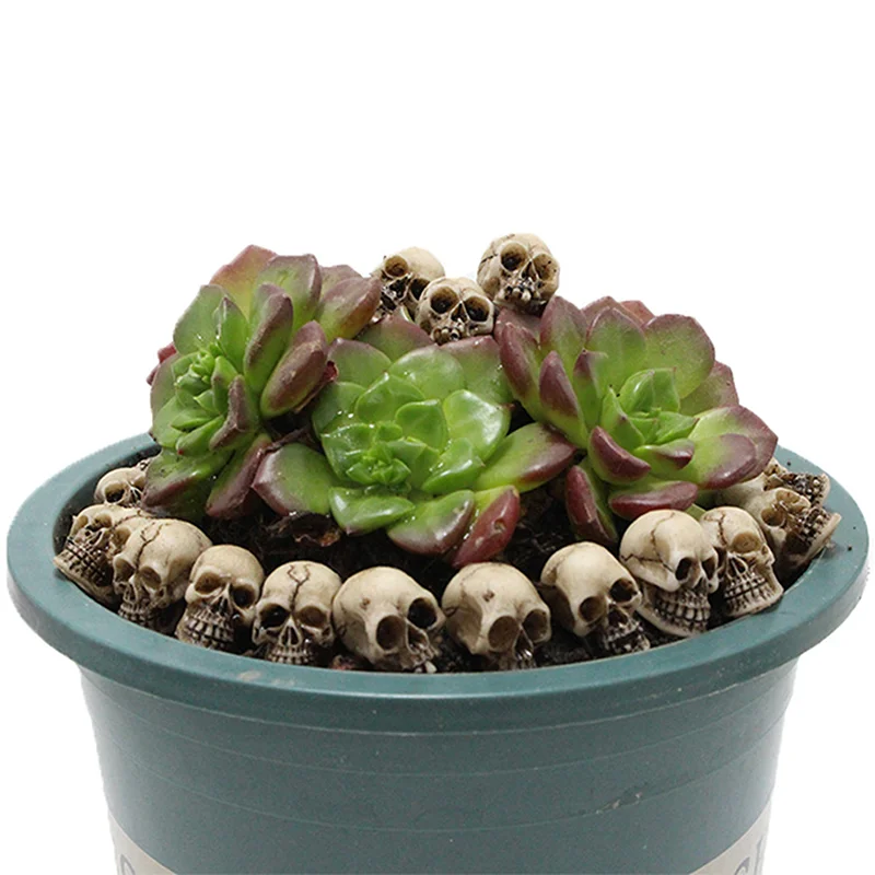 20Pcs Mushroom Ornament Landscape Garden Potted Gothic Skull/ Mushroom Sculptures Collectable Halloween Decoration Skeleton