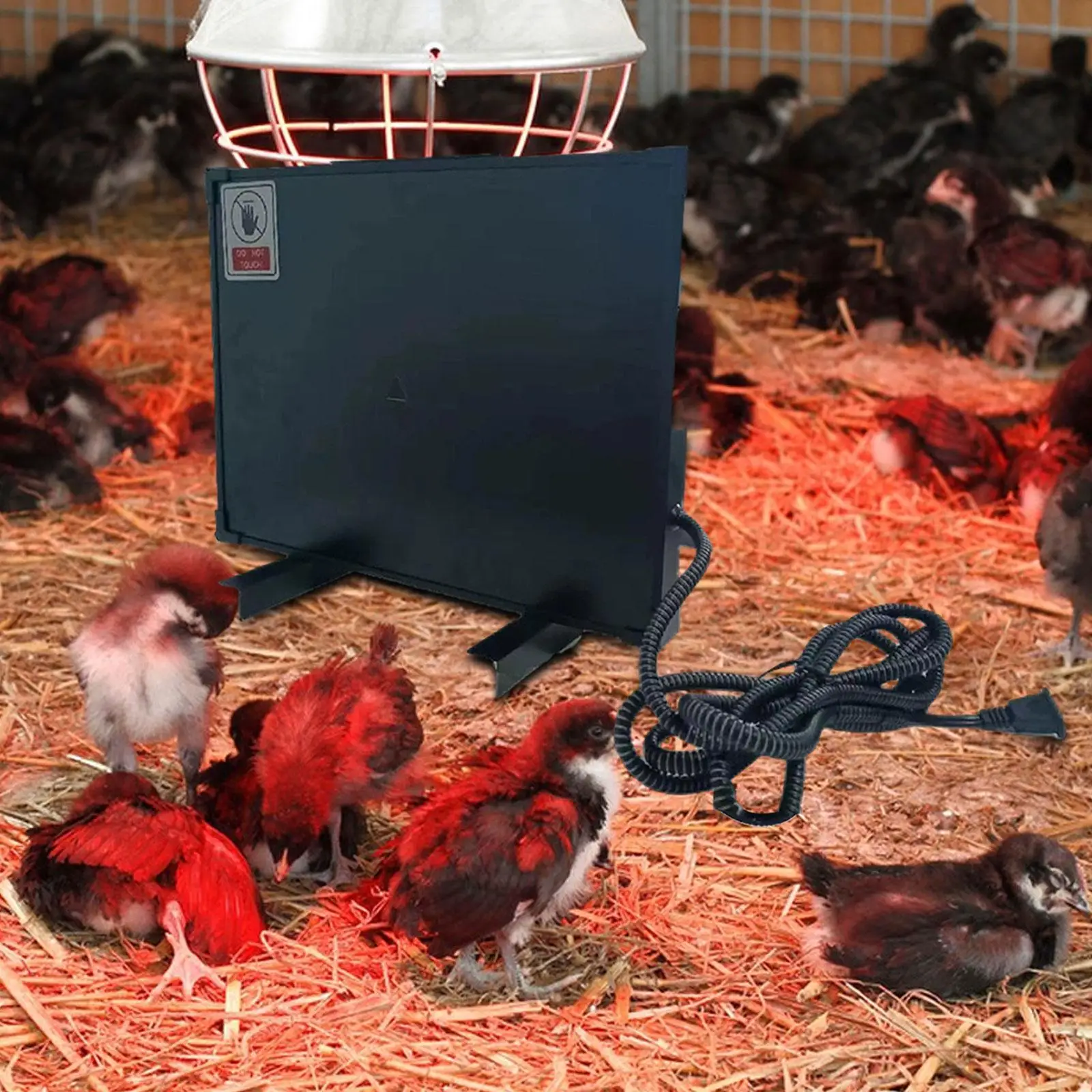 

Нагреватель для цыплят, нагреватель для домашних животных, простая в установке, многофункциональные принадлежности, вилка стандарта США для домашних животных, зима