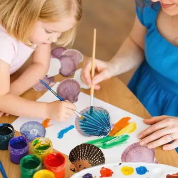 6 best sales Vỏ sò - №5