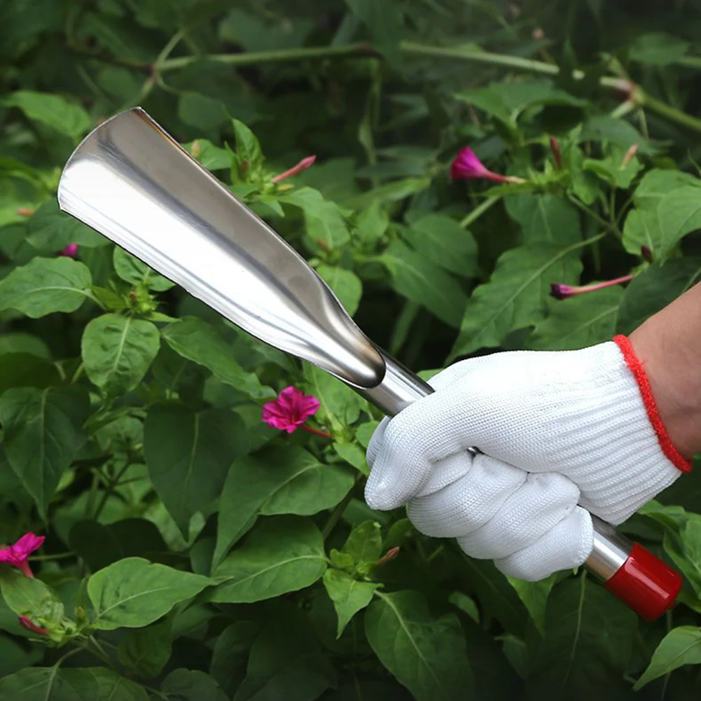 

2 Pcs Gardening Tool Set Household Catching Vegetable Rake Weeding Digging Soil Dig Wild Vegetable Shovel for Garden Plants Care
