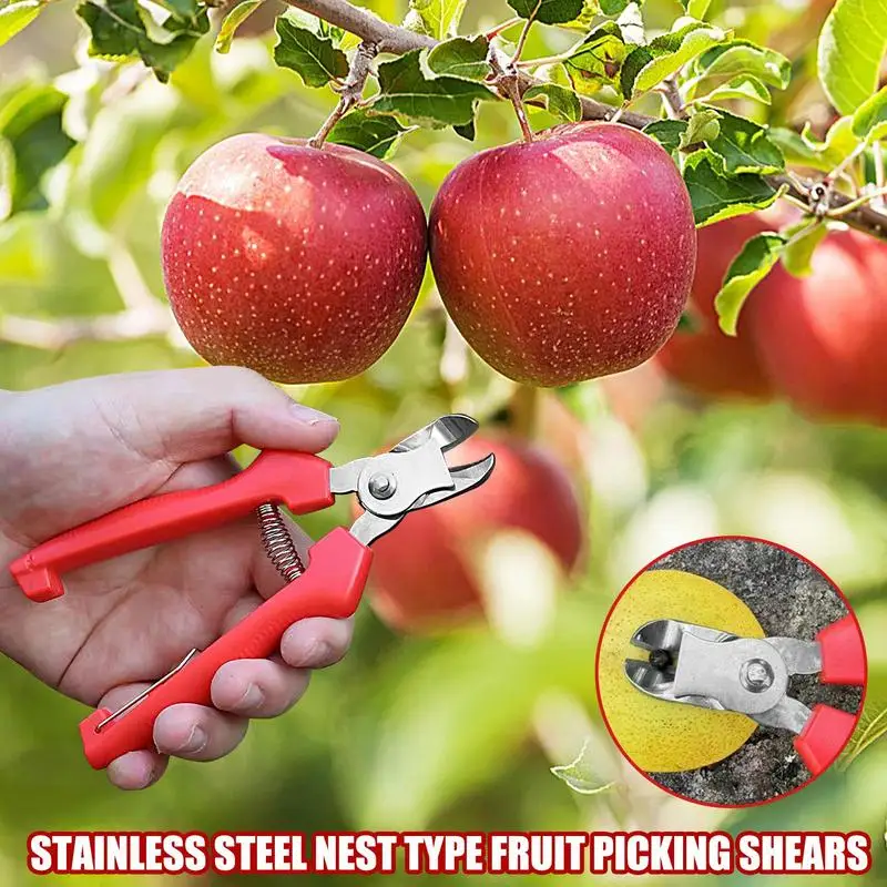 Curved Stainless Steel Garden Cutter Gardening Scissor With Comfortable Handle Grip Durable Gardening Hand Tools Shears &