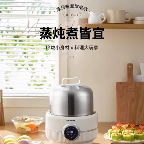 Blaupunkt 다기능 스테인레스 스틸 전기 식품 스티머, 가정 요리, 찌기 및 찌기, 220V 