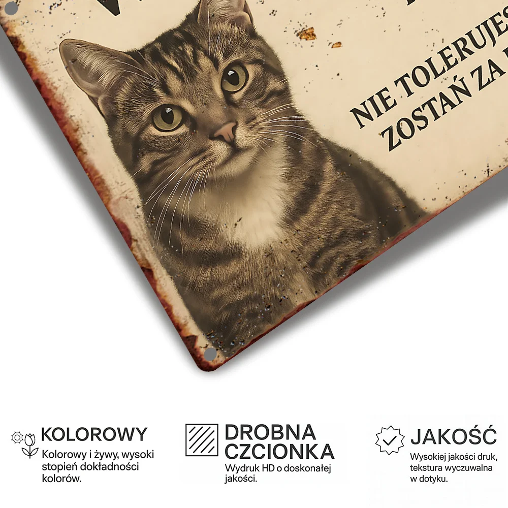 Vintage Metal Sign, In This House You Can Find Cat Hair If You Don't Accept Cats Stay Outside, Ideal for Yard Entryway