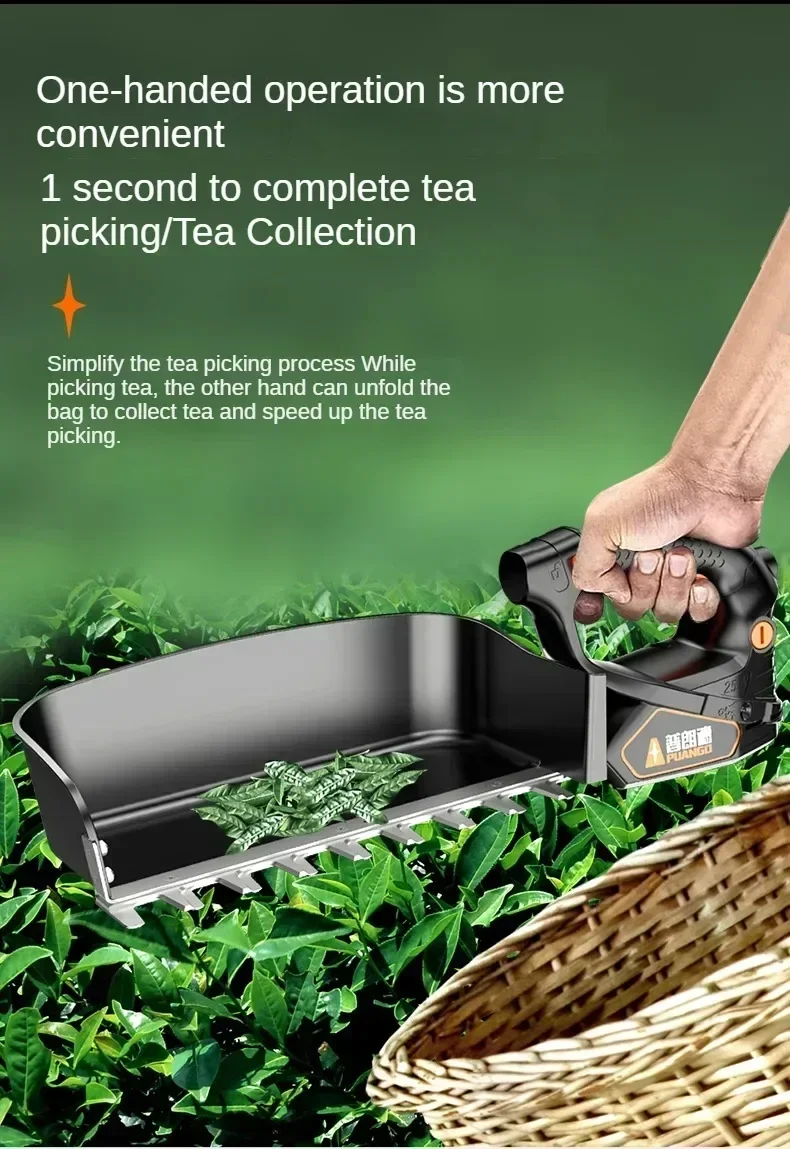 Trimming and Pruning Tea Tree and Hedge with Electric and Rechargeable Machine