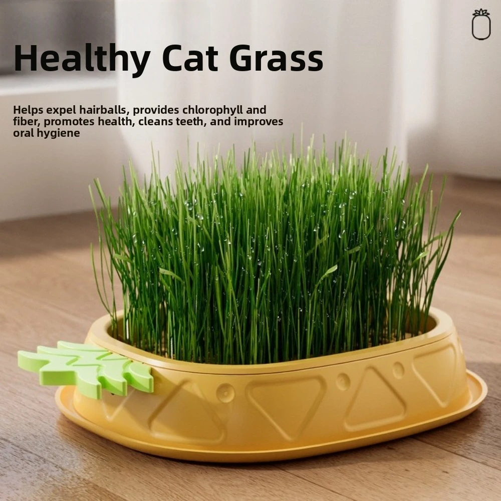 Pineapple Shape Cat Grass Planting Box Removable Plastic Cat Grass Germination Kit Soilless Grass Sprouting Trays Indoor Growing