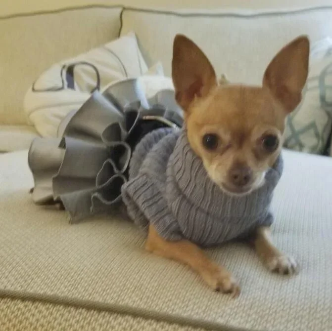 

Dog Dresses Coat Autumn Warm turtleneck Knitted Sweater Top Cat Tutu Skirt Clothes for Small Dogs