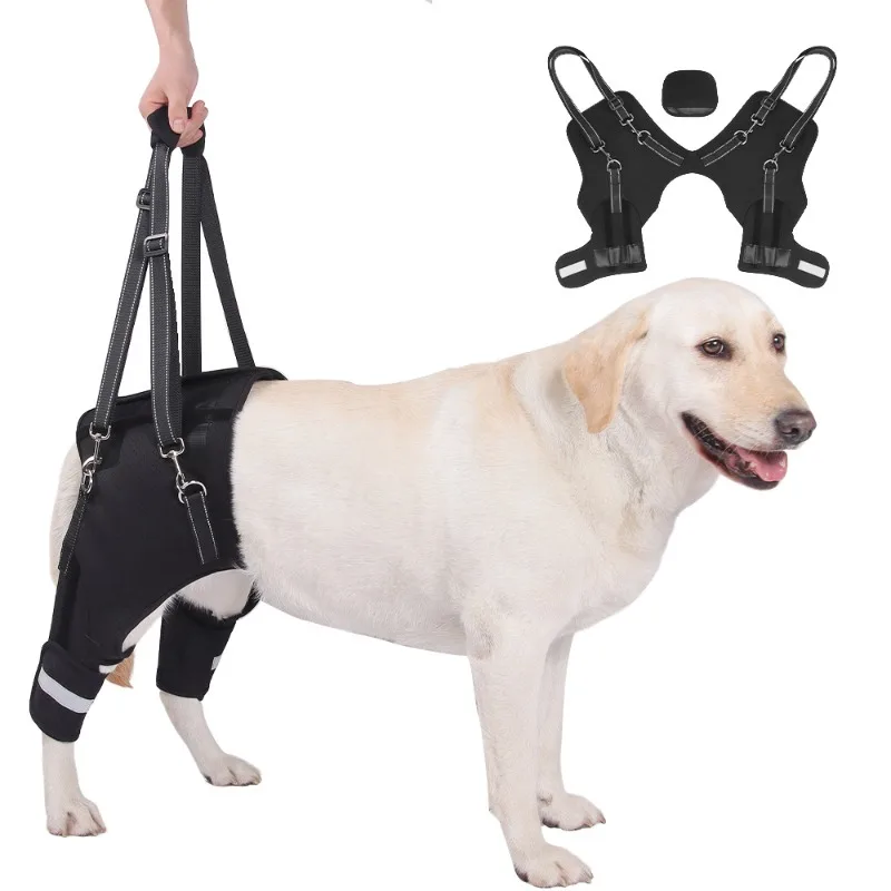 

Dog hind leg assist belt, hind leg pull rope