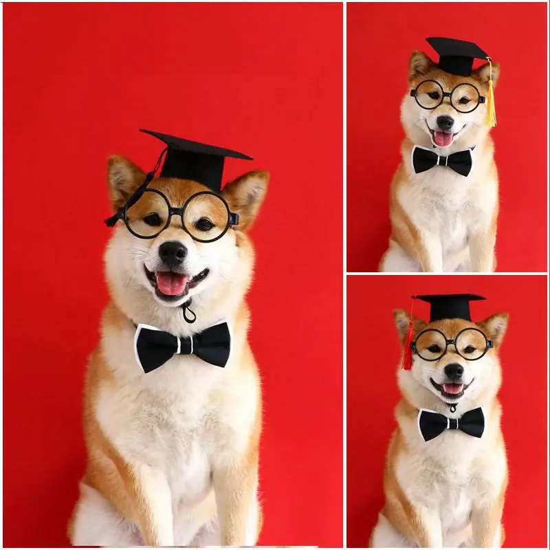 Pet Dog Cosplay Hat Collar Glasses Set Adorable Adjustable with Tassel Felt Pet Cat Dog Graduation Hat Suit Pet Cat Accessories