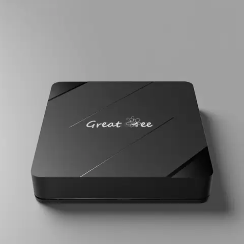 Great Bee Arabic TV Box, Greatbee Android 10 2G 16G Smart 4K Árabe, Media Player gratuito vitalício, Receptor de Satélite Árabe