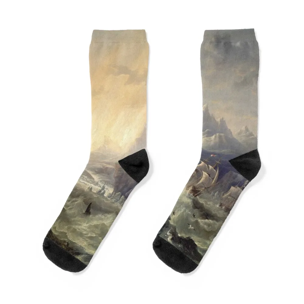 HMS Erebus and Terror in the Antartic - John Wilson Carmichael Socks golf anime with print Socks Men's Women's