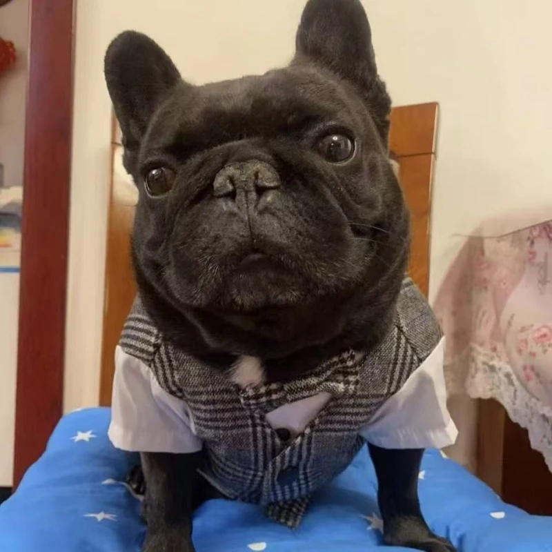 パグ犬スーツタキシードフレンチブルドッグ服コート男の子犬結婚式の服装男性ペット服コスチュームドロップシッピング