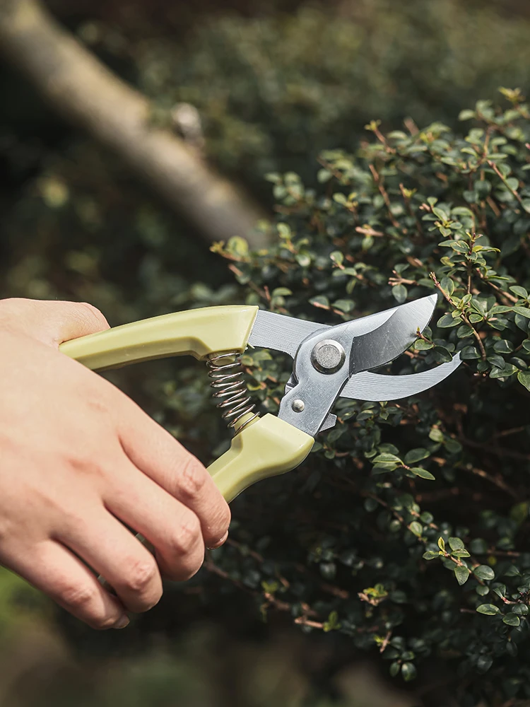 

manganese steel knife head shears, horticultural pruning, tree branch shears, special tools for cutting flowers