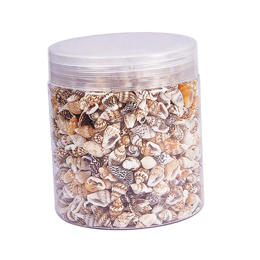 Thumbnail 3 - #77 Latest Vase Fillers Offers