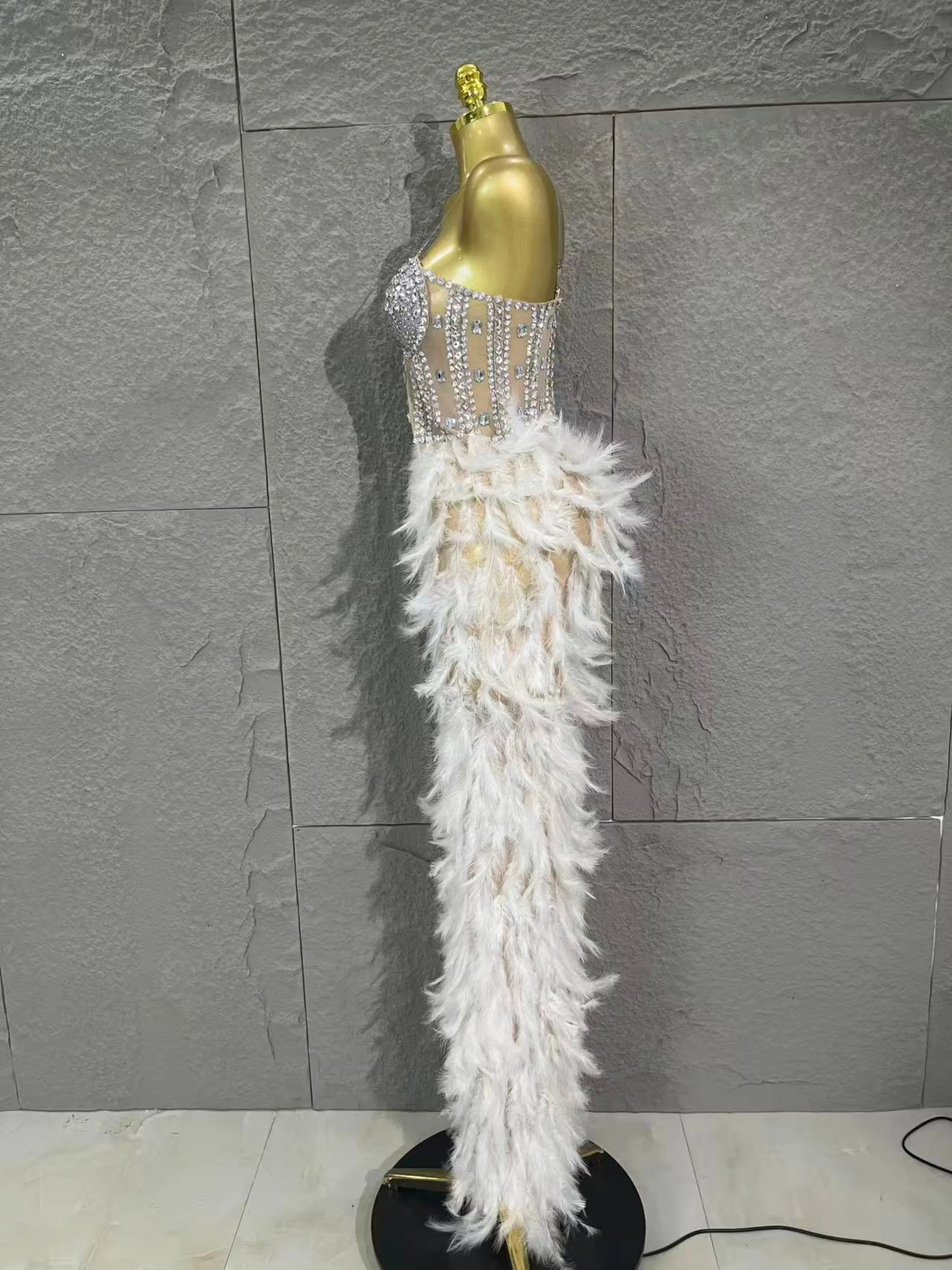 Robe longue en maille, plumes de strass scintillants sophistiquées, Sexy, soirée, spectacle d'anniversaire, séance photo, Costume de tapis rouge