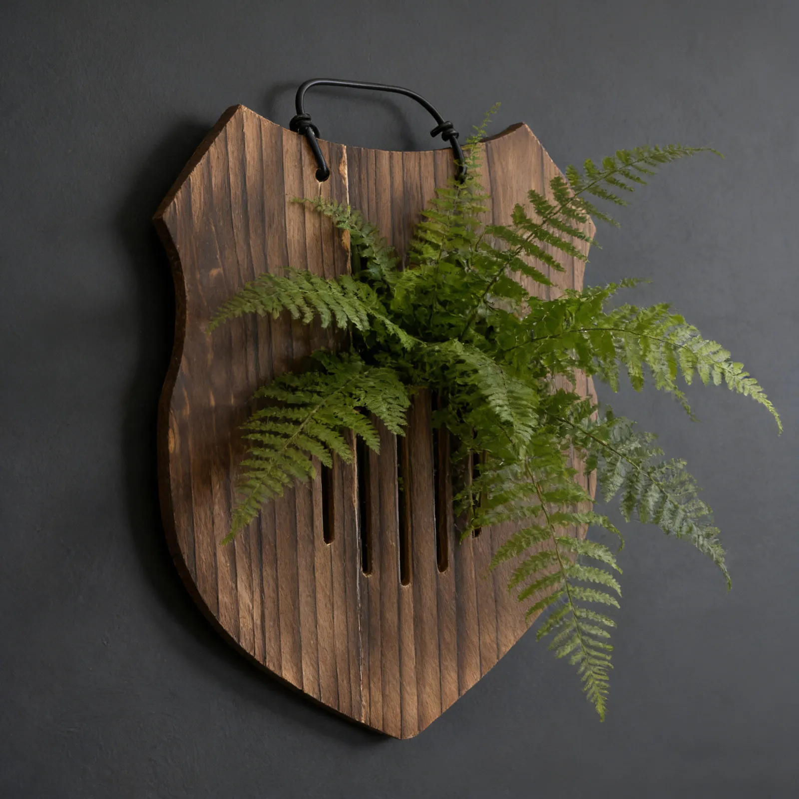 Soporte de Pared en Forma de Escudo para Plantas, de Madera Maciza, para Platycerium, Orquídeas, Suculentas, Helechos, Jardín Vertical