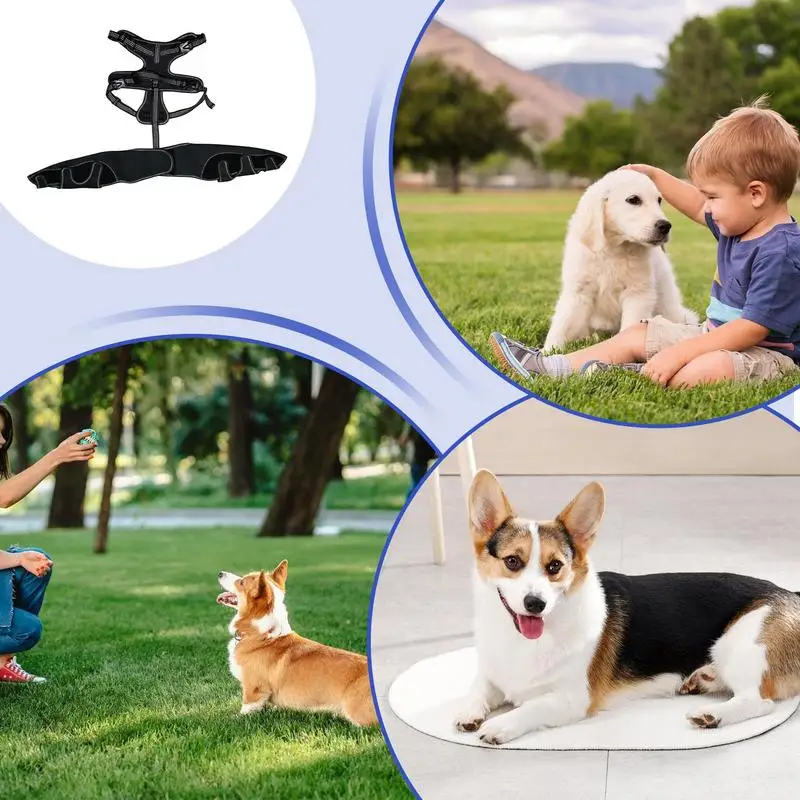 Dog Leg Braces For Back Leg Pet Orthopedic Joint Support Brace Leg Support Bracket Pet Knee Wound Protection For Prevents