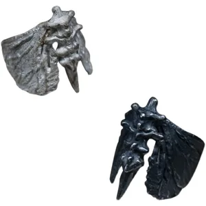 7 Hauptverkäufe Miraculos Ladybug Schmuck - №8