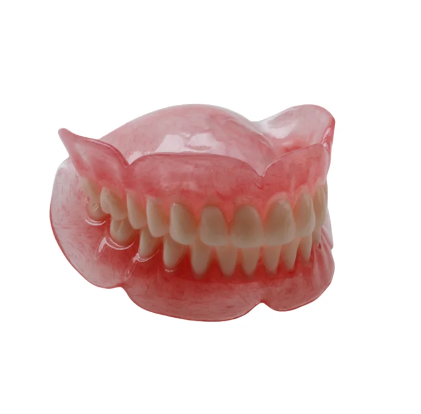Dental Teaching Model Removable Denture model Dentist Exhibition Sample Training Demonstrations
