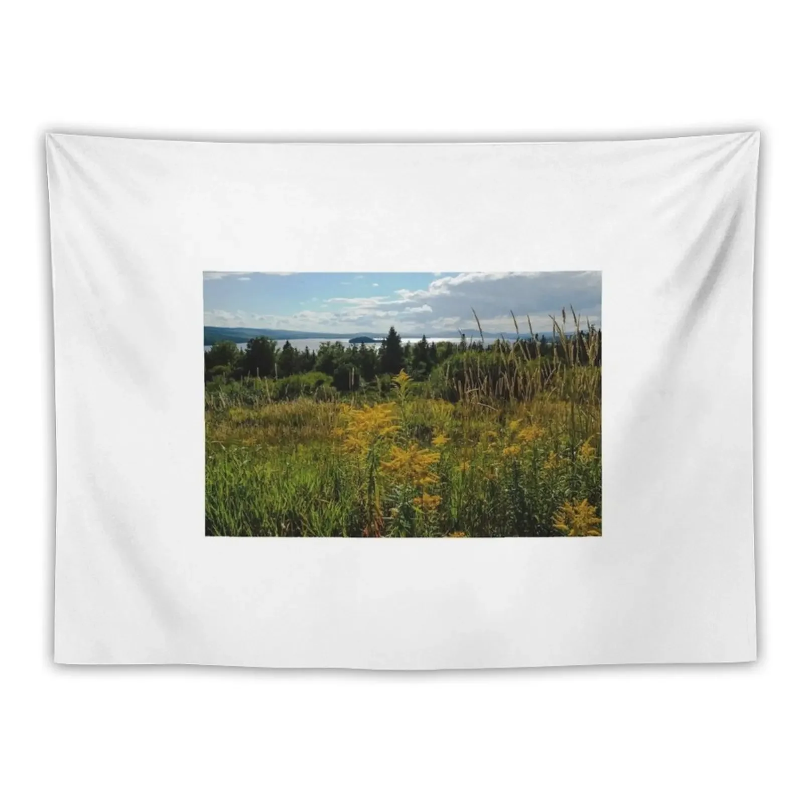 

Rangeley, Maine - Summer 2017 Tapestry Aesthetics For Room House Decor Room Aesthetic Room Decorations Tapestry