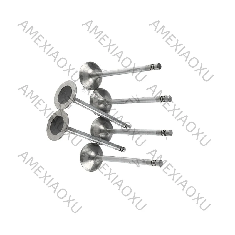 6Pcs AMEXIAOXU 022109601E Suitable for Volkswagen Phaeton Audi A8 6.0L engine intake valve, short