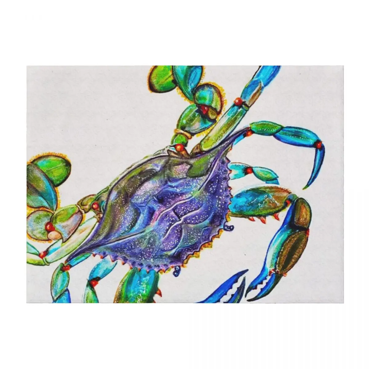 

Blue Crab Throw Blanket funny gift Blankets For Bed Bed Plush Blankets