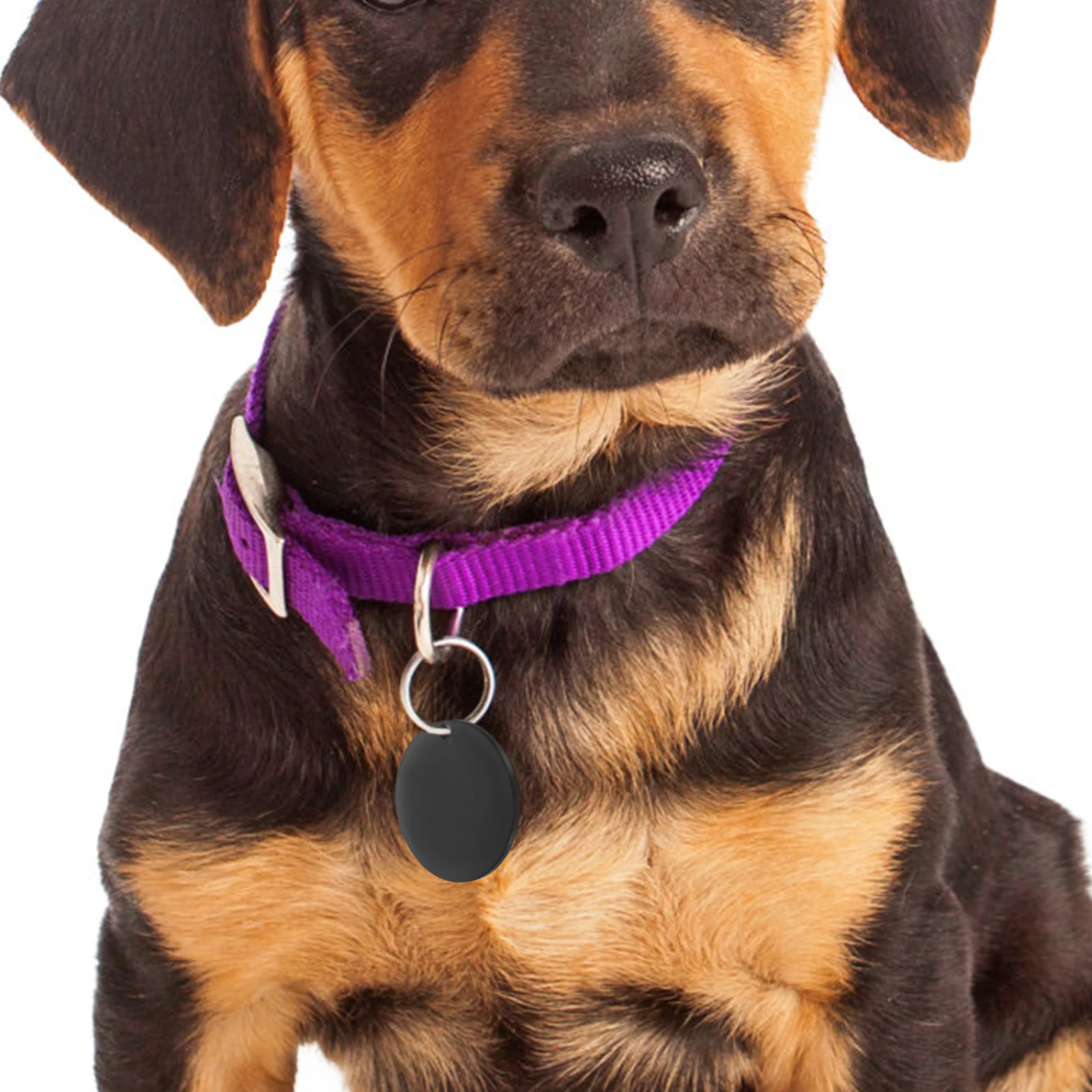 

Pet Listing Dog Tag Keychain Blanks Tags Pendants for Id Necklace Name Pets Engraved Collar Bone Shaped