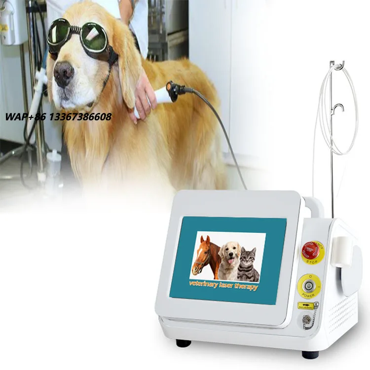 Professional Medical Diode 980 Nanometer Infrared Veterinary  for Pet Animal Surgery Pain Treatment