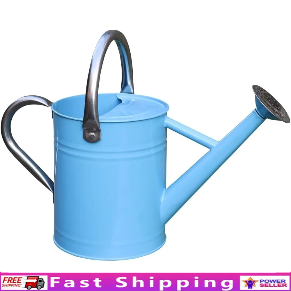 

Stainless Steel Watering Can 1 Gallon Removable Spout Outdoor Indoor Garden Plants Durable Metal Tool Perfect Housewarming Gift