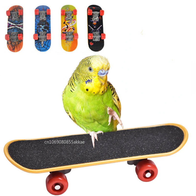 Funny Bird Training Toys Mini Skateboard Bell Ball Vine Balls Parrot Bird Puzzle Toy Intellectual Development Bird Cage Supplies