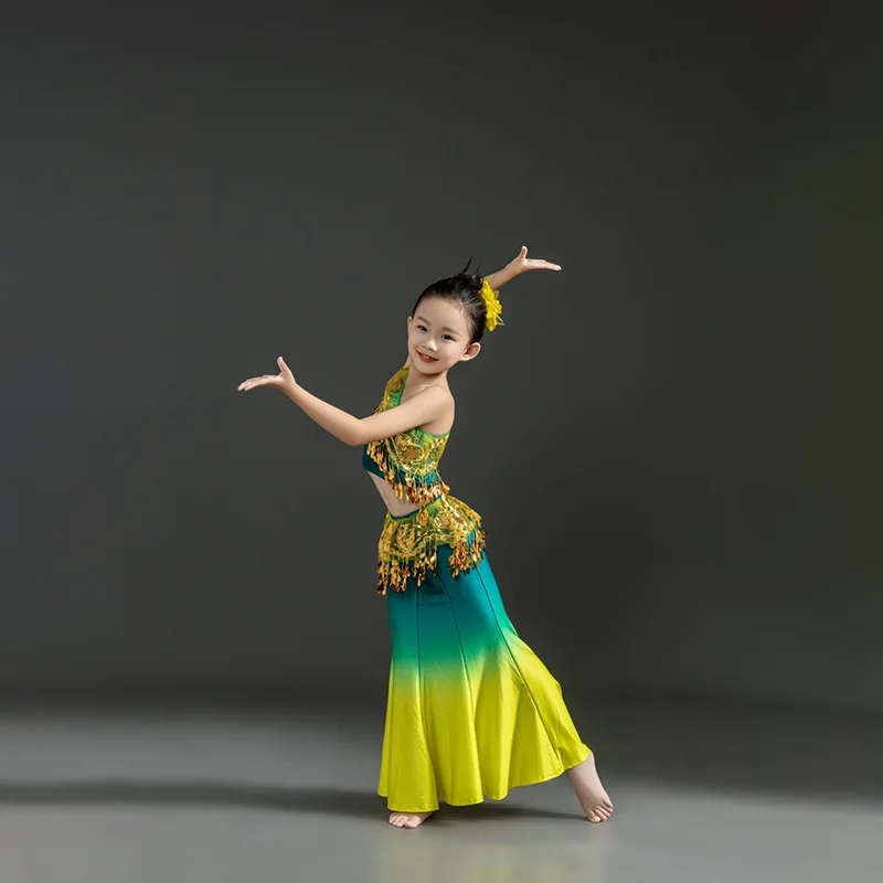 The New Dai Dance Performance Dress Wraps The Buttocks and Gradually Changes The Fishtail Practice Skirt for Girls