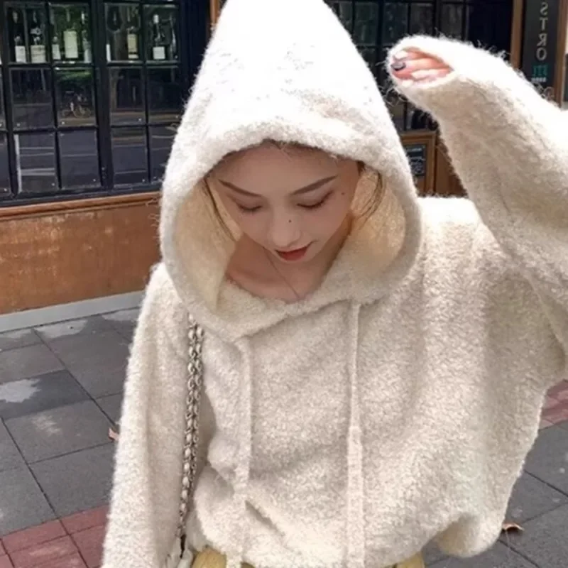 

Свитера с капюшоном, женские однотонные универсальные пуловеры, утепленные студенческие простые шикарные осенне-зимние новые дизайны, теплая уютная уличная одежда