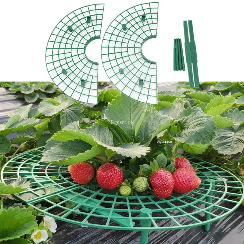 Strawberry Supports Keeping Plant Fruit Stand Vegetable Growing Rack Garden Tools for Protecting Vines and Avoid Contact Ground