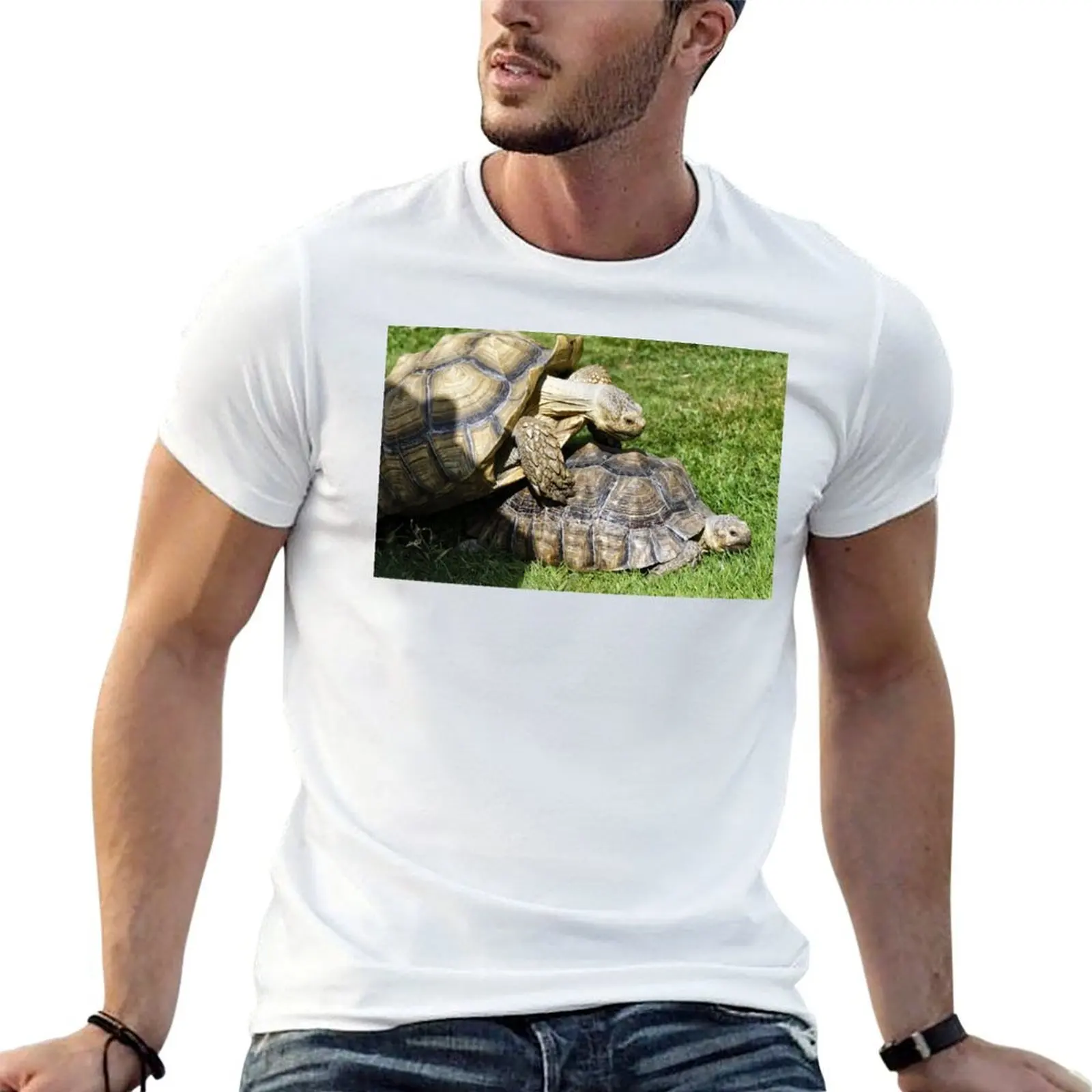 African spurred tortoise (Centrochelys sulcata) T-Shirt vintage clothes graphics mens fashion
