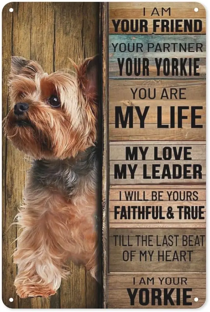 Yorkshire Tierrier Dog I Am Your Friend Your Partner Your Yorkie, Tin Sign Art Metal Wall Decor Outdoor Indoor Wall Panel R sign