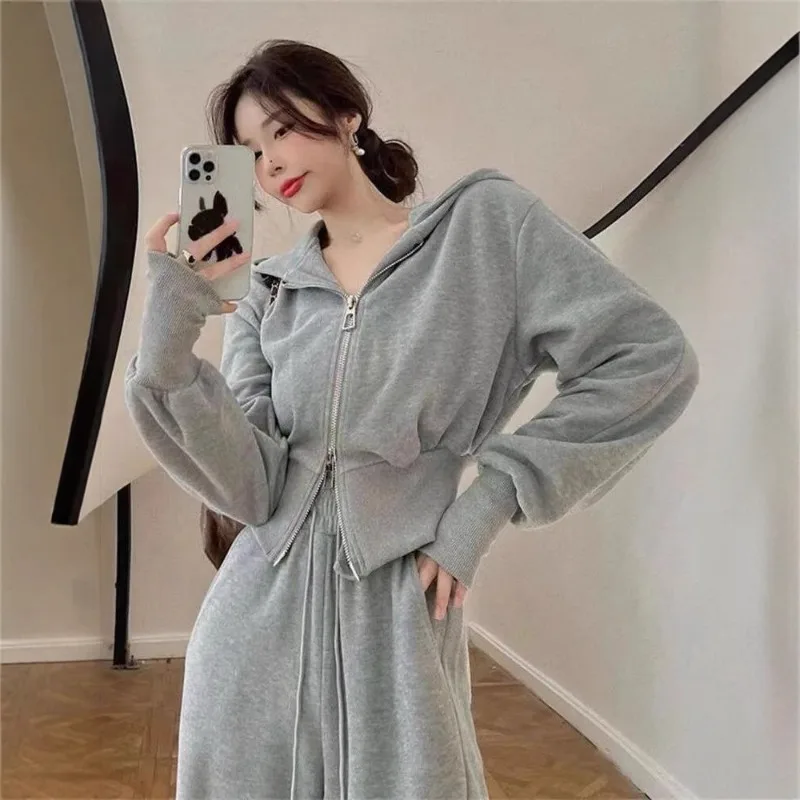 

Sweatshirt Two-piece Suit Women's Casual Sports Sets Autumn Winter Zip-up Short Coat Straight Trousers 2-piece Sets